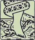 Snake logo